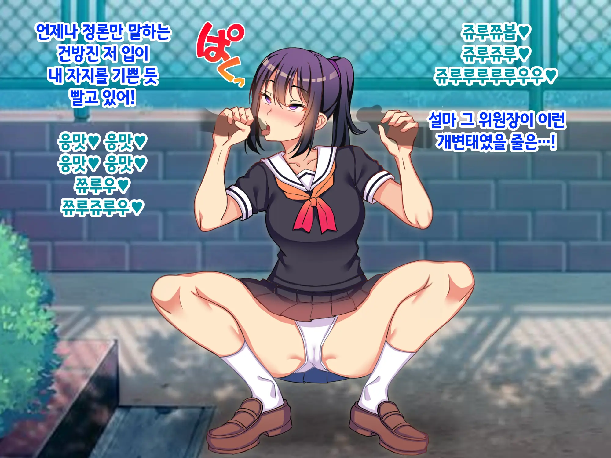 Sou Seisen Hime Holy Knights, Sennou Kaizou Songen Hakai, Seigi No Henshin Hiroin Ga Ganimata Pose De Machi O Osou Hentai Buzama Kaijin Ni Naru Made